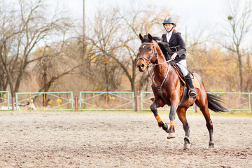 Young rider girl on bay horse galloping towards a hurdle on show jumping competition