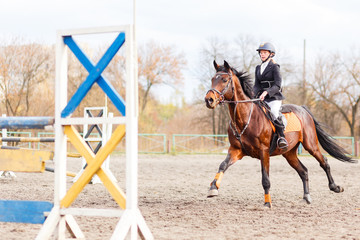 Young rider girl on bay horse galloping towards a hurdle on show jumping competition