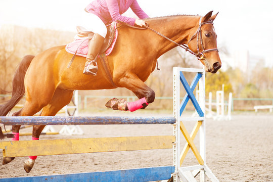Sorrel horse with rider girl jump over hurdle on show jumping competition