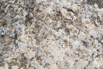 A close-up view of a stone, a stone background textured with moss.