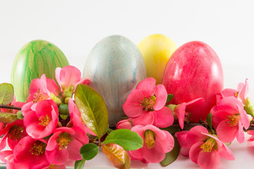 Painted Easter eggs and Japanese rose flowers