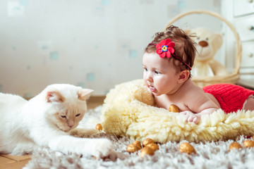 baby lying on a blanket and looking on a cat