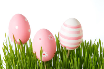 Pink Easter eggs and green wheat plant