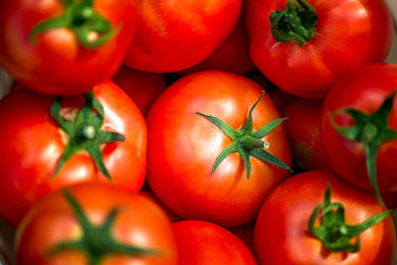 Large summer harvest. Macro shot of a group of freshly picked red ripe tomatoes.

