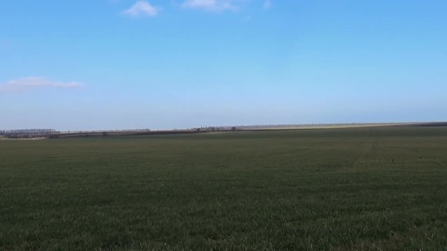 Vehicle shot at green crops with blue sky with some white clouds and trees in the background stock video footage in sunny winter day