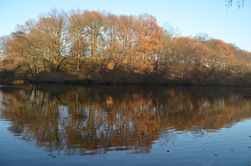 Reflection of autumn forest in lake in fortress around Antwerp