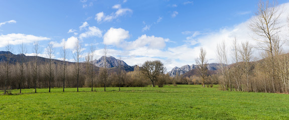 Paisaje panoramico primaveral de prados verdes arboledas y montañas  al fondo