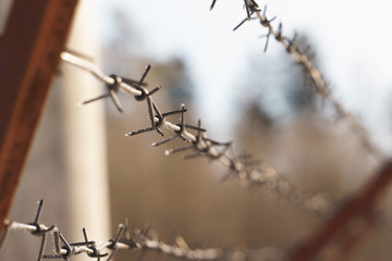 line barbed wire. focus with shallow depth of field. closeup