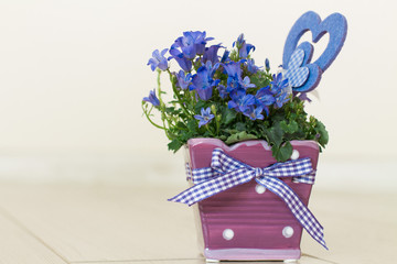 Bouquet of pink campanula flowers in pot with heart on wooden background.