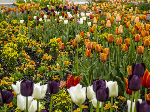 BUGA 2005, Federal Garden Exhibition 2005 Munich, Bundesgartensc