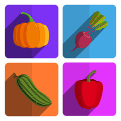 Colorful Vegetable Icon Set on Bright Background 