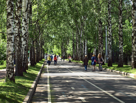 Люди гуляют в парке Сокольники в Москве