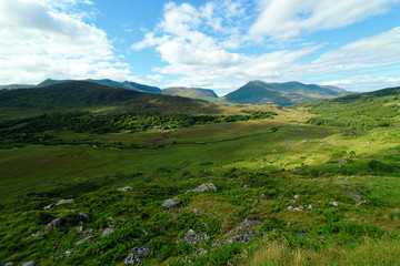 Fototapeta na wymiar Killarney National Park in Country Kerry, Ireland