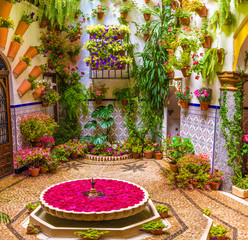 Traditional house and courts with flower in Cordoba, Spain