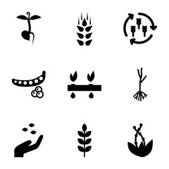 Set of 9 seed filled icons