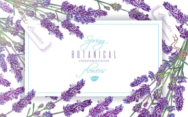 Lavender flowers banner © purplebird