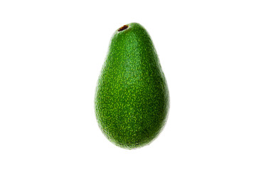Whole avocado on white backlight background