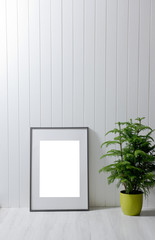 modern background with frame and plants