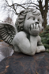 Obraz premium nachdenkliches grabengelchen