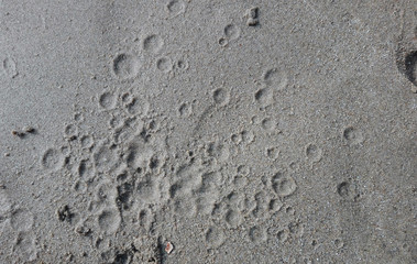 textura de las gotas de agua