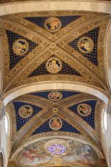 Obraz premium Ceiling of the interior view of Lucca Cathedral. Cattedrale di San Martino. Tuscany. Italy.
