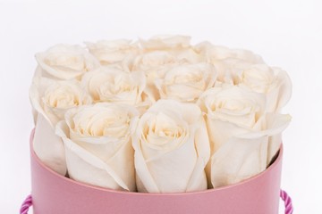 Paper pot of beautiful roses at white background isolated , Women's Day
