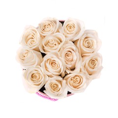 Paper pot of beautiful roses at white background isolated , Women's Day
