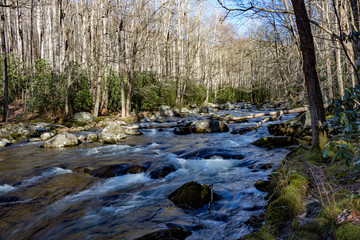 Mountain Stream