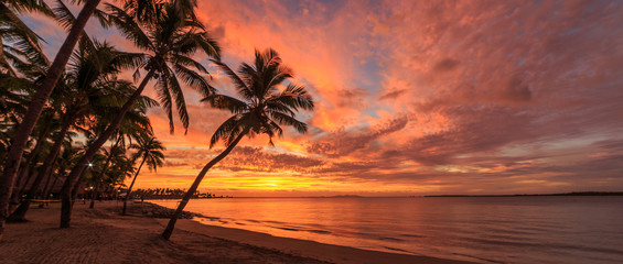 Sunset on Fiji beach - obrazy, fototapety, plakaty