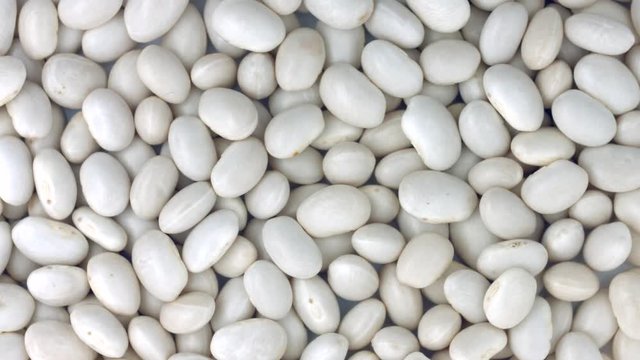 Beans background rotation. Haricot bean closeup rotate