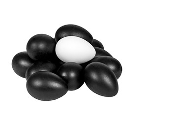 White Eggs and one Black Egg
