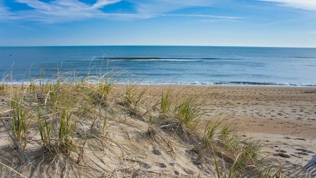Couple Walking Alone on Outer Banks NC Beach with Grass Growing on Sand Dune on a Calm and Sunny Morning in North Carolina
