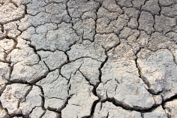 arid land.
