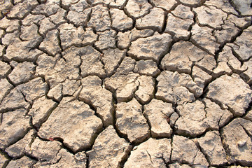 arid land.