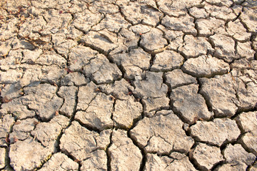 arid land.
