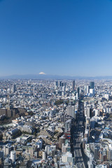 東京都市風景　富士山と渋谷中心街　都心の街並全景