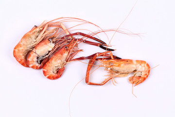 Streamed large fresh prawns isolated on white background