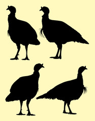Turkey birds animal silhouette. Good use for symbol, logo, web icon, mascot, sign or any design you want.
