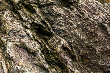 Natural background