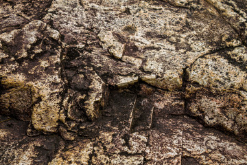 Natural background
