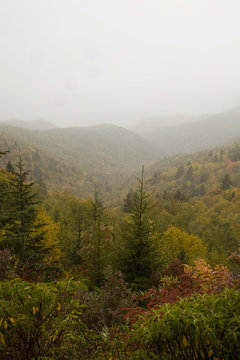 Foggy Autumn, Blue Ridge Parkway, NC