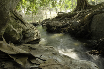 Fototapeta premium A small stream flowing