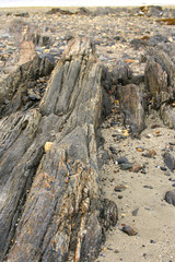Beach Rocks at Stovers Point, Harpswell Maine