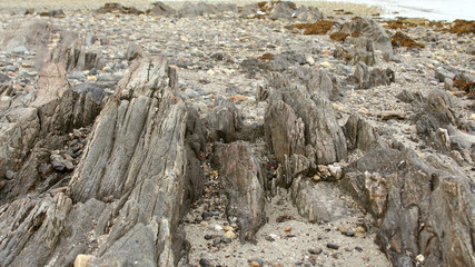 Beach Rocks at Stovers Point, Harpswell Maine