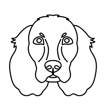 Vector line art spaniel dog face portrait zoo icon domestic animal friend