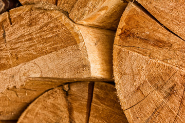 stack of natural wooden logs. pile wood cut background