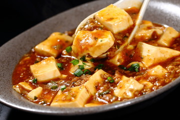 麻婆豆腐　Mapo tofu