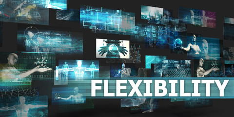 Flexibility