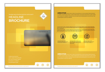 Template layout for annual report brochure flyer vector