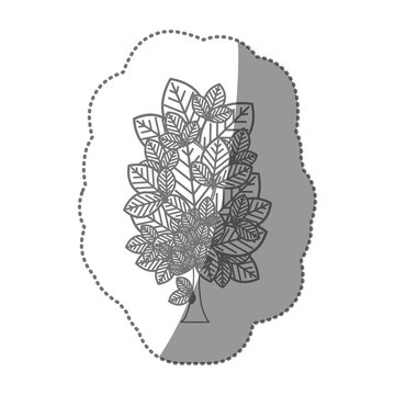 contour creative tree icon, vector illustraction design image